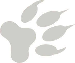 fox-paw
